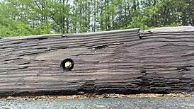 clitlicker662 shares update 32 image