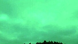 Putaria no mato passionately.