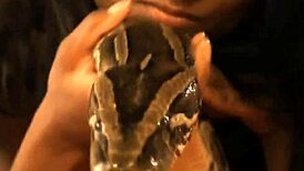 true beauty from india