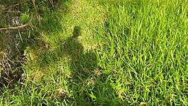 These hot colombian guys are outdoors, so sexy! 😍