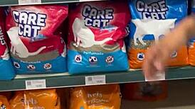 I exibindo myself in Sao Paulo and sucking several diferent cocks