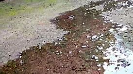 Check out straight guy peeing compilation, outdoor peeing scenes!