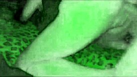 i'm filming my sexy slut wife taking a big cock in doggystyle on night vision