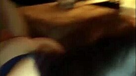 white bbw having fun with a black stallion