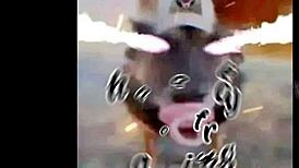 feeling the athletic theme in this osu mashup