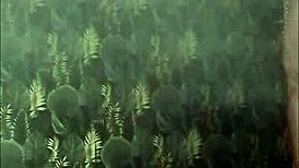 Maitresse Kantalie Dominates Esclave Ebed