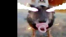 feeling the athletic theme in this osu mashup