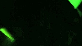 outdoor fucking with pussy moaning, sounds so hot