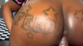 Bold Pirates of the Caribbean Adventure