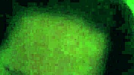 i love my pussy filled with black dick!