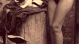 Victorian Gentleman's Secret Erotic Confessions Revealed