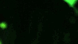 outdoor fucking with pussy moaning, sounds so hot