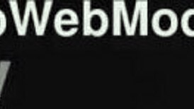 Abby Lee Brazil Latina Huge Cock POV Deepthroat