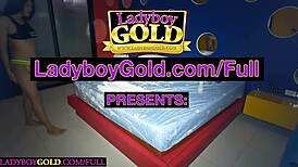 ladyboy taan gives amazing sex massage