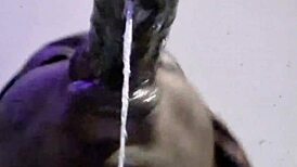 Gay Couple Shares Perfect Wet Bareback Blowjob Cum Swallow