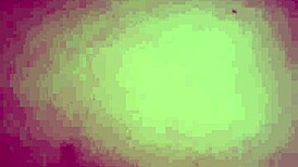 homemade amateur clip captures raw intimate action in casual home setting