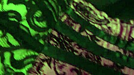 jeny smith's red corset stockings tease, wanna see her legs spread??