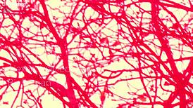 The Shadows Inside Me Unleash Deep Emotional Turmoil and Longing