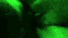 hot stepmom spreads legs again for my creampie in her squirting pussy