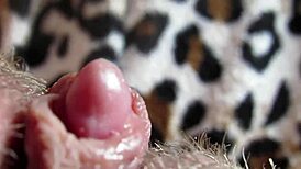 ever seen a big clit explode in orgasm?