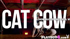 Big ass ebony babe and milf rip clothes stretching bubble butts post-workout group striptease