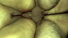 Stepmom moans on all fours eating pussy then takes hard cock