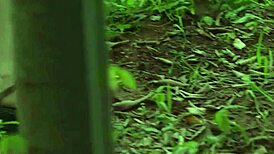 ये 2017 का कोरियन बॉडी इंटरव्यू कास्टिंग चेक करो