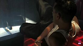 Stunning Stockings Babe Deepthroat Blowjob Rides Hard Cowgirl Lingerie Cumshot