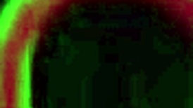 Ready for mocha menage's sloppiest deep blowjob on rome majors' throbbing bbc?