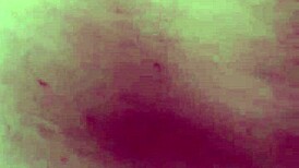 whoa i choked gagging on that fat latina bbw cock outside