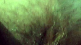 hey check this hairy pussy on the toilet... hot?