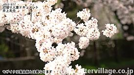 innocent japanese wife bends over for secret creampie in first shoot doc