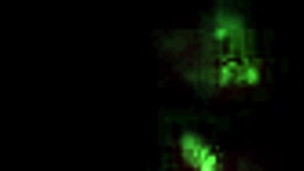 vintage hairy beaver spreads in erotic retro pose