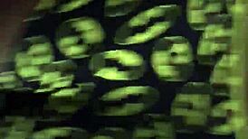 Wife belly bulges taking daddy monster big black cock deep