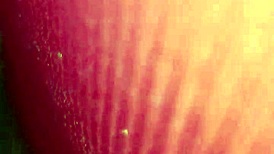 thand me garam chut ki chudai with dirty hindi audio roleplay