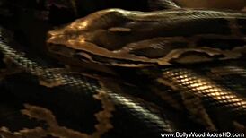 Gorgeous Indian Woman Reveals Sensual Natural Tits And Curvy Naked Body In Teasing Dance