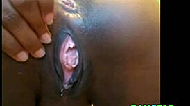 black ebony pussy teases on webcam in sultry closeup display
