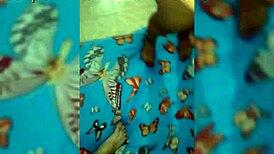 i watched miami stud stretch my latina wife's tight holes wide