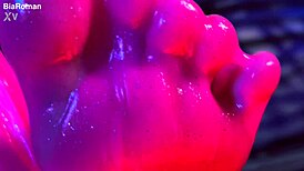 Hottie Latinas And Blondes Lick Suck Feet Deepthroat In Messy Pantyhose Foot Fetish Play