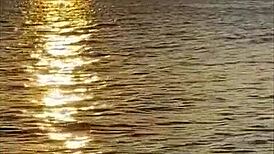 Beautiful African Babe Fingers Sexy Pussy Outdoor Public No Panties During Massage