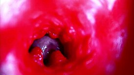 omg extreme close-up... my head inside her wet pregnant pussy asmr ughh