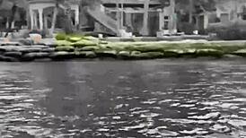 miami vibes hit different with venezuelan stunner zoey di giacomo! 🌴🇻🇪😍