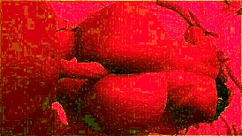 after beach pickup i pound this big ass latina brazilian pov homemade