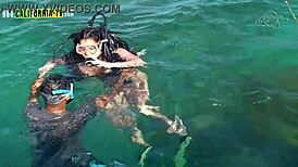 hey lisi parisi, masturbating to fix your broken contract?