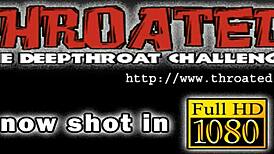 hey wanna watch this free dong sucking action?