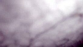 Sammie Pounds Hard On Massive Cock In Wild Couple Fucking Frenzy