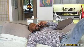 Hey, Luna Legend slurps Jovan Jordan's big black cock to keep him satisfied!