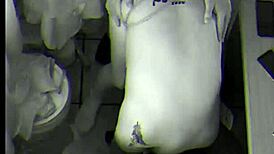 Job Interview Ends Bent Over Dripping Cum