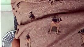 i came on my chubby brunette neighbor's pierced tits flashing braces teasing huge ass