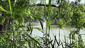 Gina Gerson's Tight Body Bends In Private Yoga For Juicy Pussy Tease